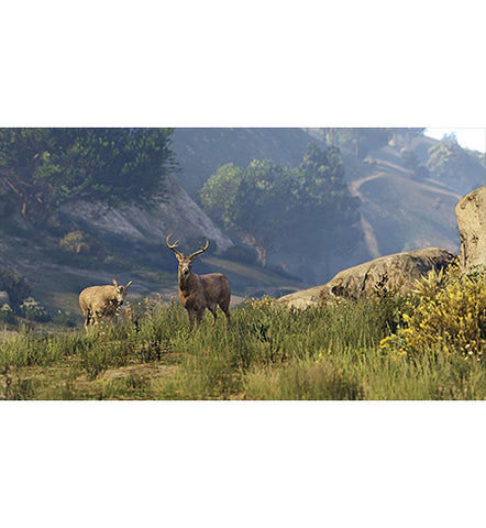 GTA 5