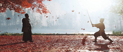 Ghost Of Tsushima Director's Cut