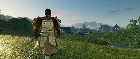 Ghost Of Tsushima Director's Cut