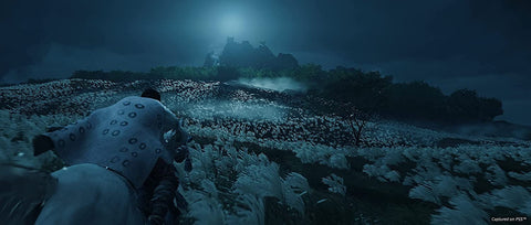 Ghost Of Tsushima Director's Cut