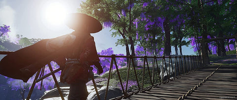 Ghost Of Tsushima Director's Cut