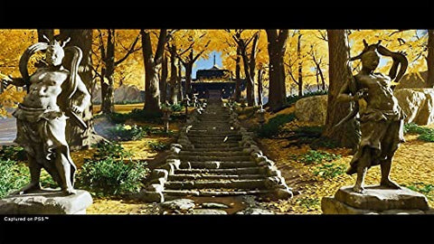 Ghost Of Tsushima Director's Cut