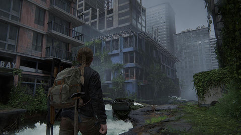 The Last Of Us Part 2 : Remastered