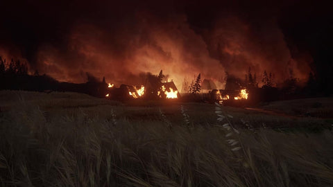 The Last Of Us Part 2 : Remastered