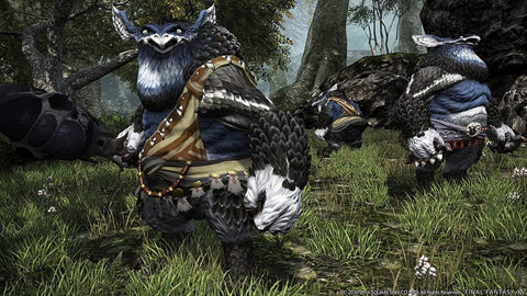 Final Fantasy XlV : HEAVENSWARD