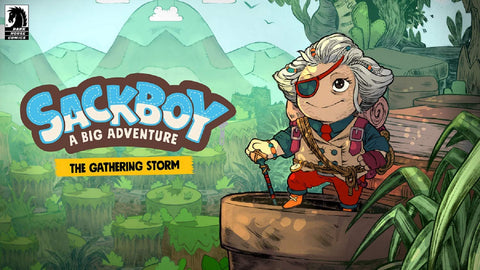 Sackboy