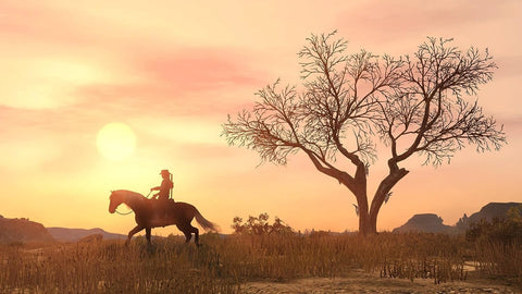 Red Dead Redemption 2
