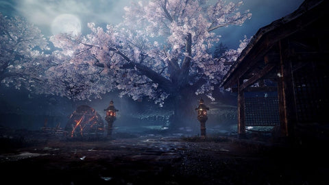 Nioh 2